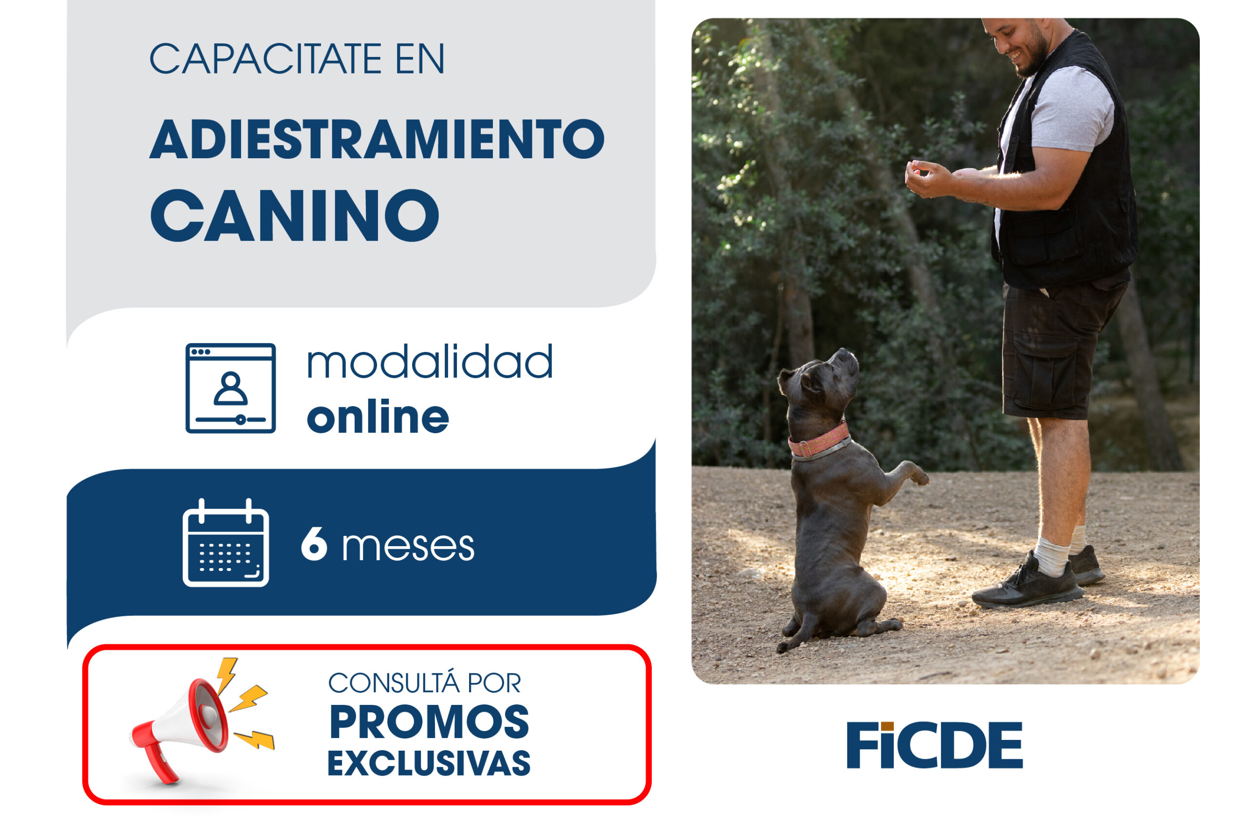 Certificación Universitaria en Adiestramiento canino – Online