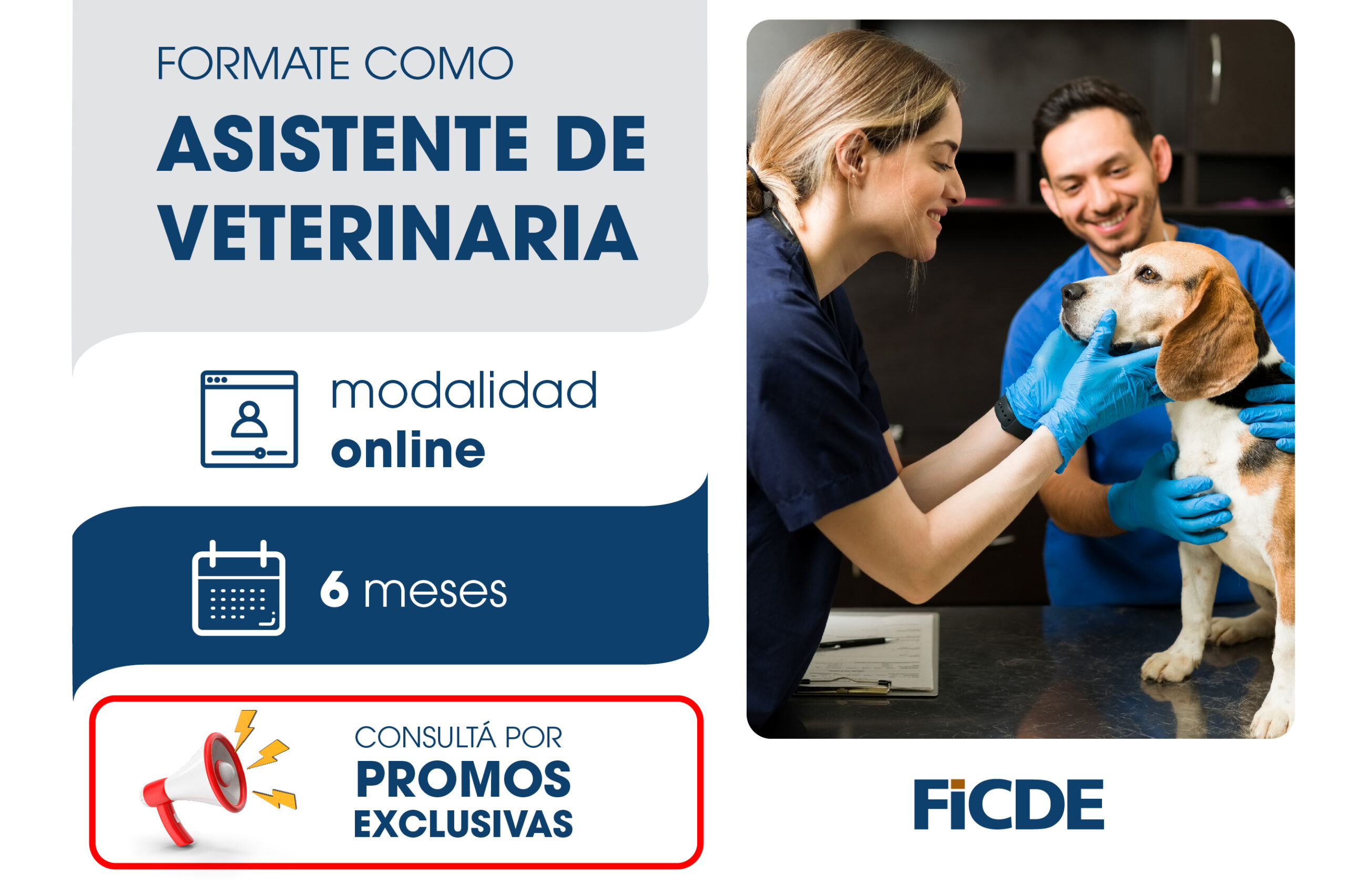 Formate como Asistente Veterinario – Online