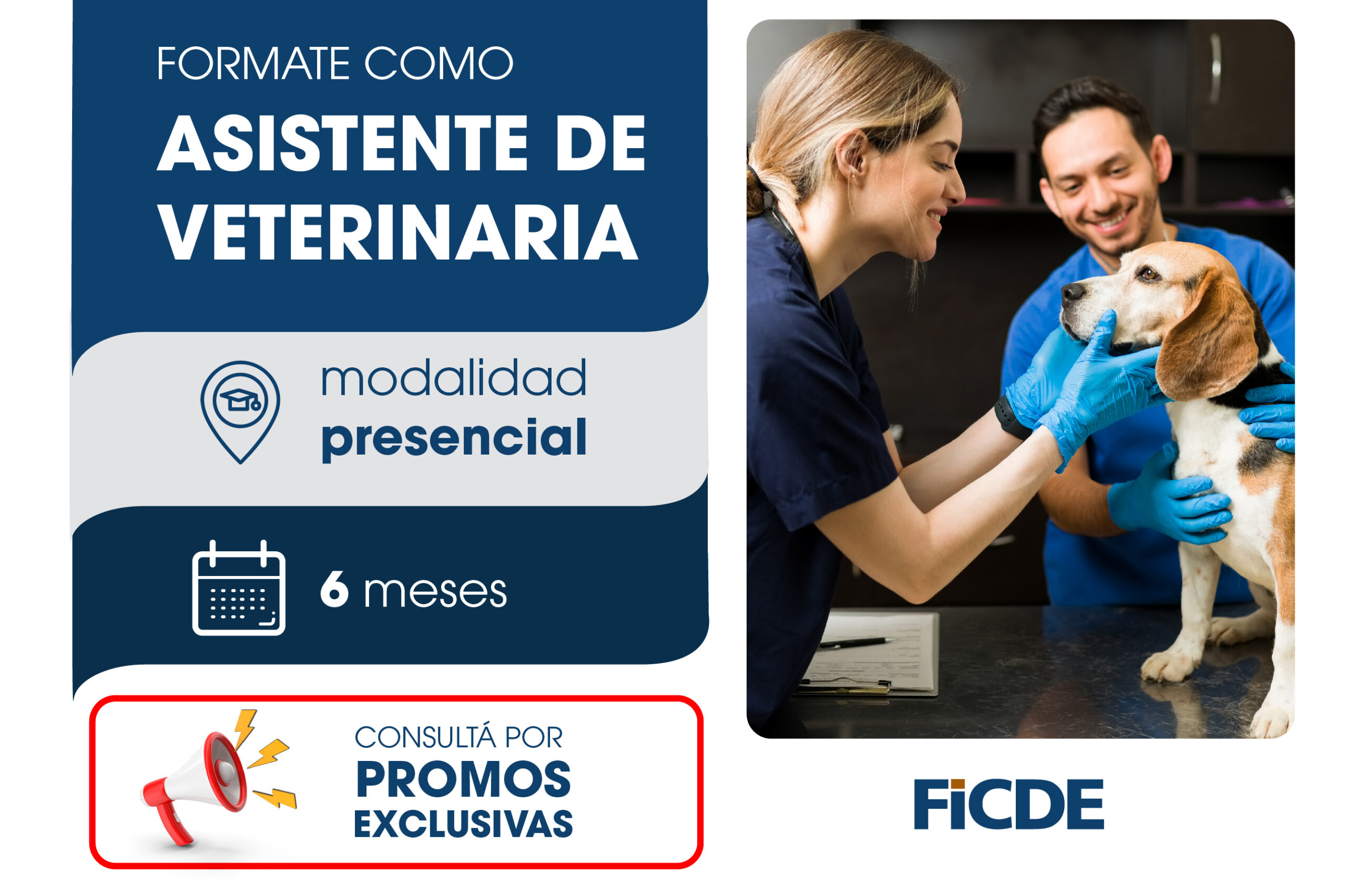 Formate como Asistente Veterinario – Presencial